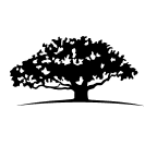 WisdomTree Trust WisdomTree Cloud Computing Fund Share Price